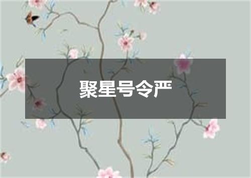聚星号令严