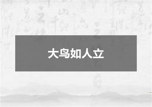 大鸟如人立