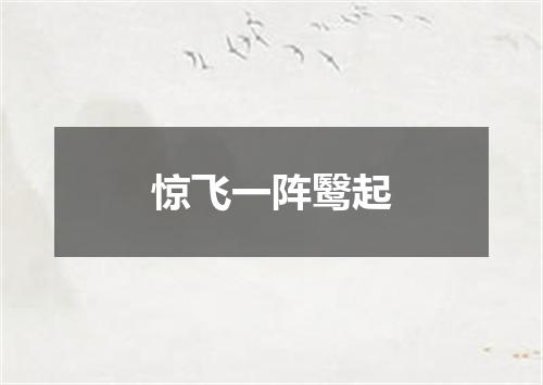 惊飞一阵鹥起