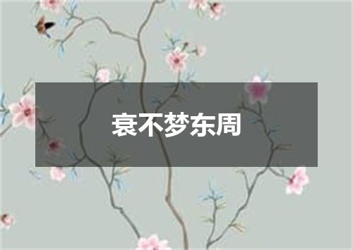 衰不梦东周