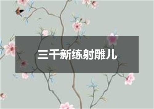 三千新练射雕儿
