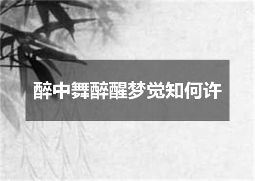 醉中舞醉醒梦觉知何许