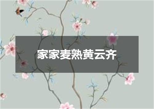 家家麦熟黄云齐
