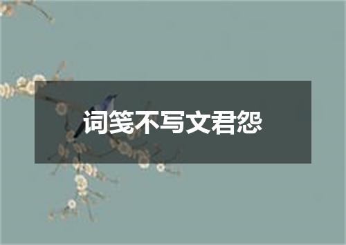 词笺不写文君怨