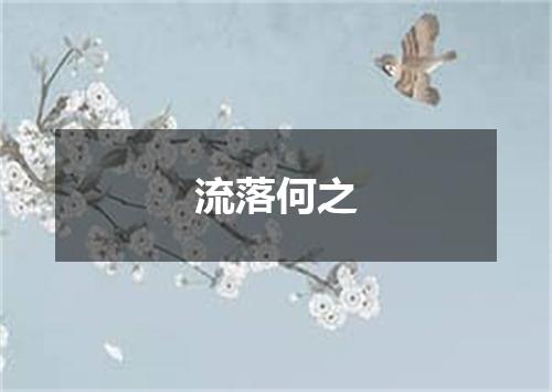 流落何之