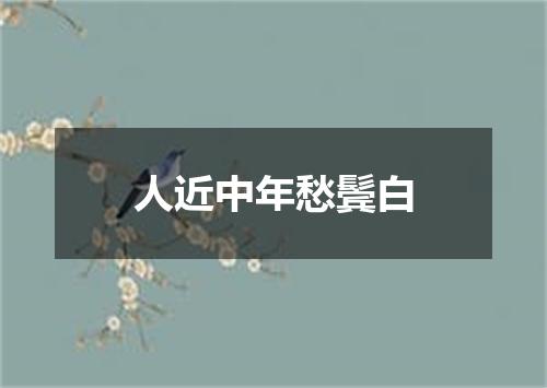 人近中年愁鬓白