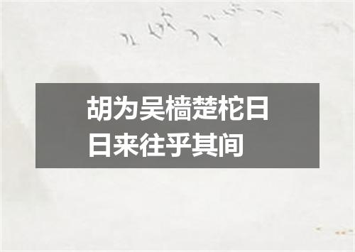 胡为吴樯楚柁日日来往乎其间