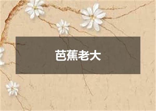 芭蕉老大