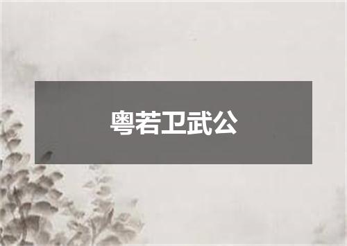 粤若卫武公
