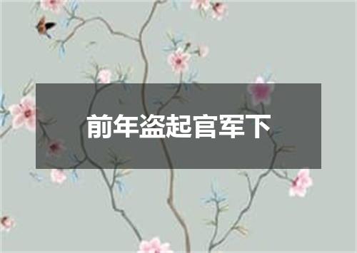 前年盗起官军下
