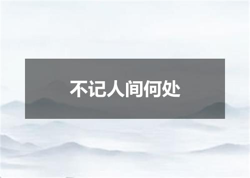 不记人间何处