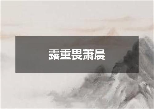 露重畏萧晨