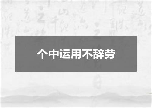 个中运用不辞劳