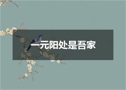 一元阳处是吾家