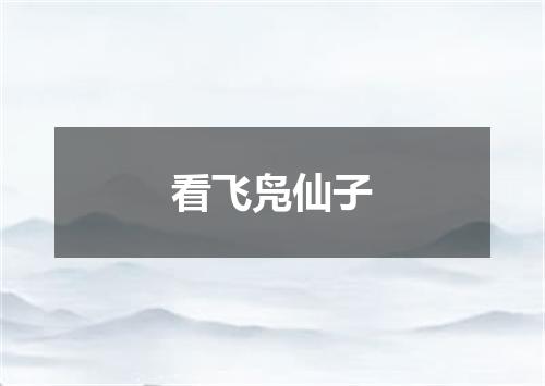 看飞凫仙子