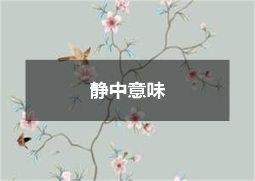 静中意味