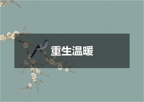 重生温暖