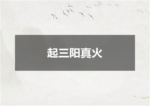 起三阳真火