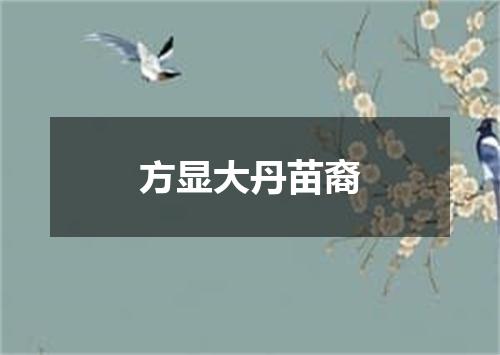 方显大丹苗裔