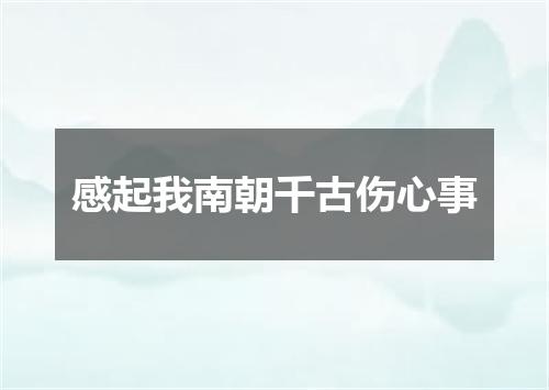 感起我南朝千古伤心事