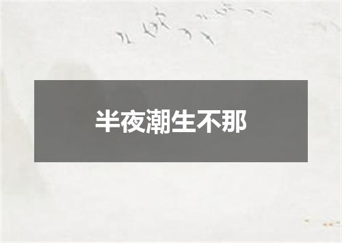 半夜潮生不那