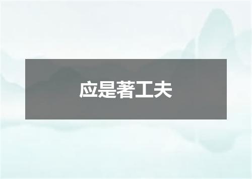 应是著工夫