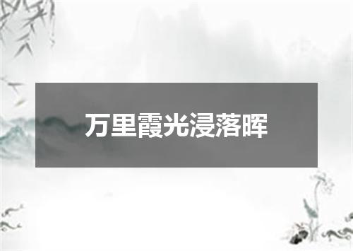 万里霞光浸落晖