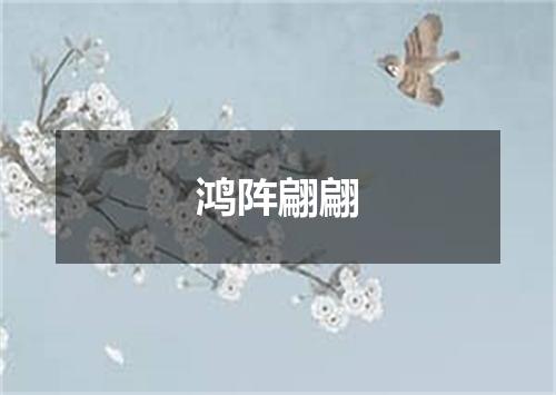 鸿阵翩翩