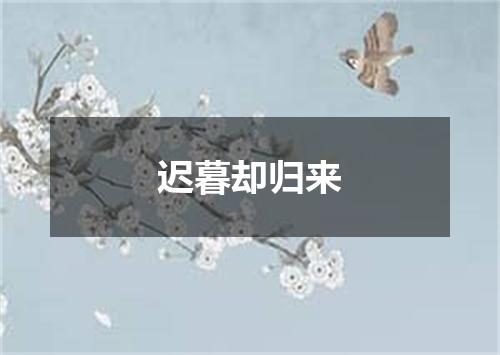 迟暮却归来