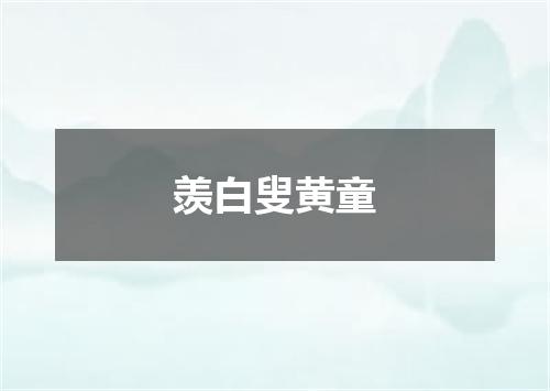 羡白叟黄童