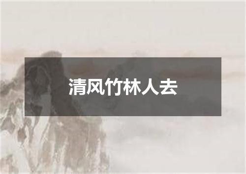 清风竹林人去