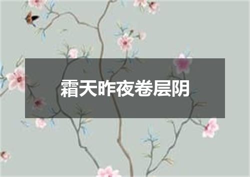 霜天昨夜卷层阴