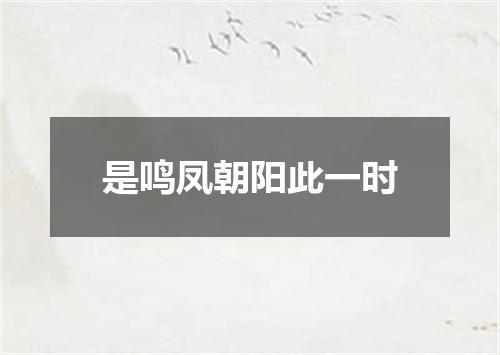 是鸣凤朝阳此一时
