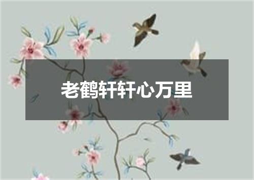 老鹤轩轩心万里
