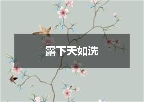 露下天如洗