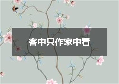 客中只作家中看
