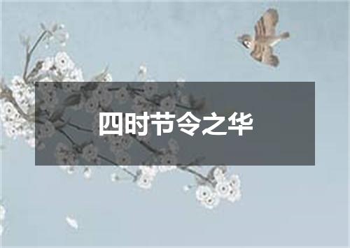 四时节令之华
