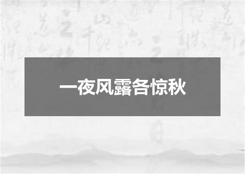 一夜风露各惊秋