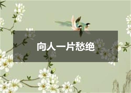 向人一片愁绝