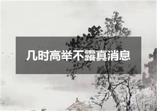 几时高举不露真消息