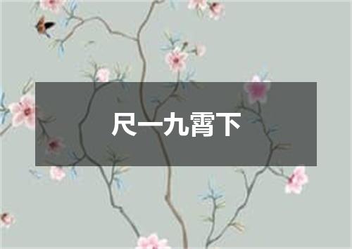 尺一九霄下