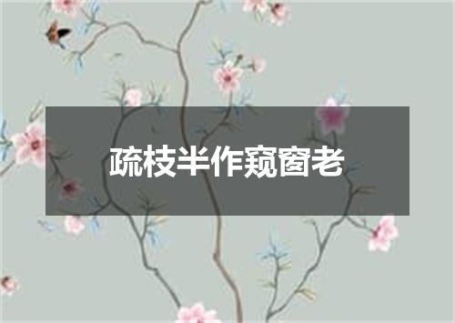 疏枝半作窥窗老