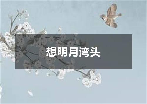 想明月湾头