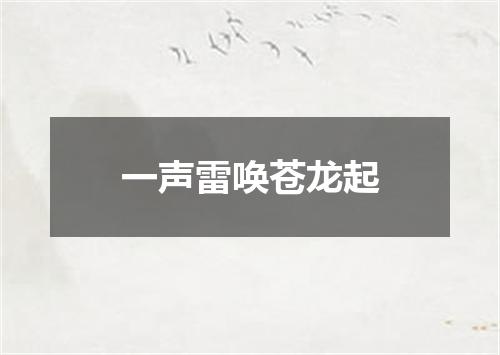 一声雷唤苍龙起