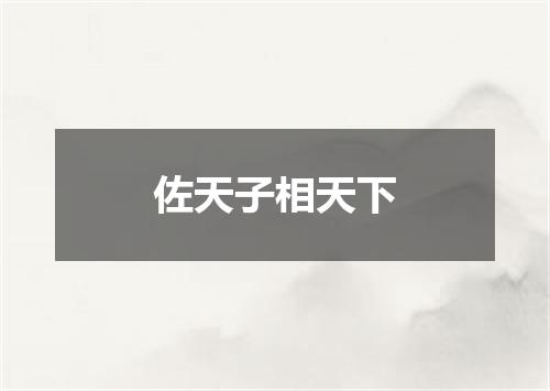 佐天子相天下