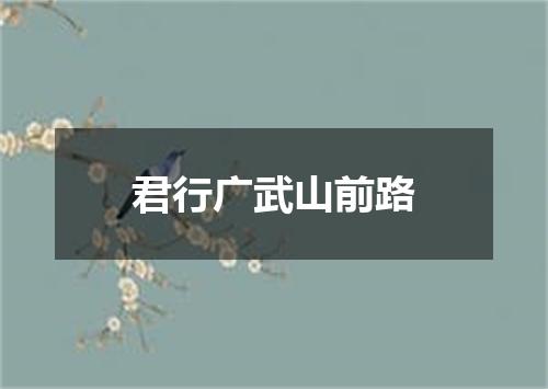 君行广武山前路