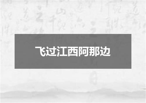 飞过江西阿那边