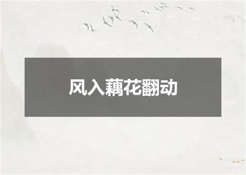风入藕花翻动