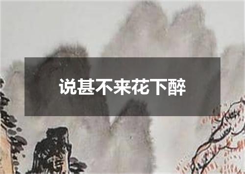 说甚不来花下醉