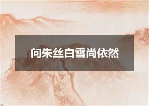 问朱丝白雪尚依然